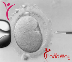 Slider image (5) Main Line Fertility Center